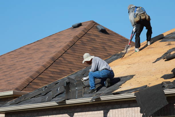 Best Emergency Roof Repair Services  in Wyndmoor, PA