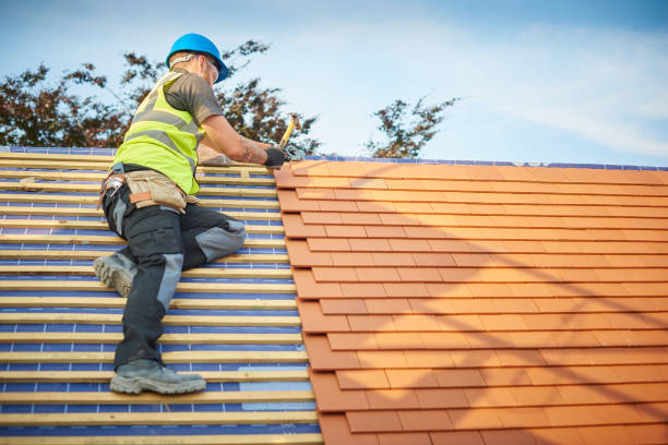 Best Skylight Installation and Repair  in Wyndmoor, PA